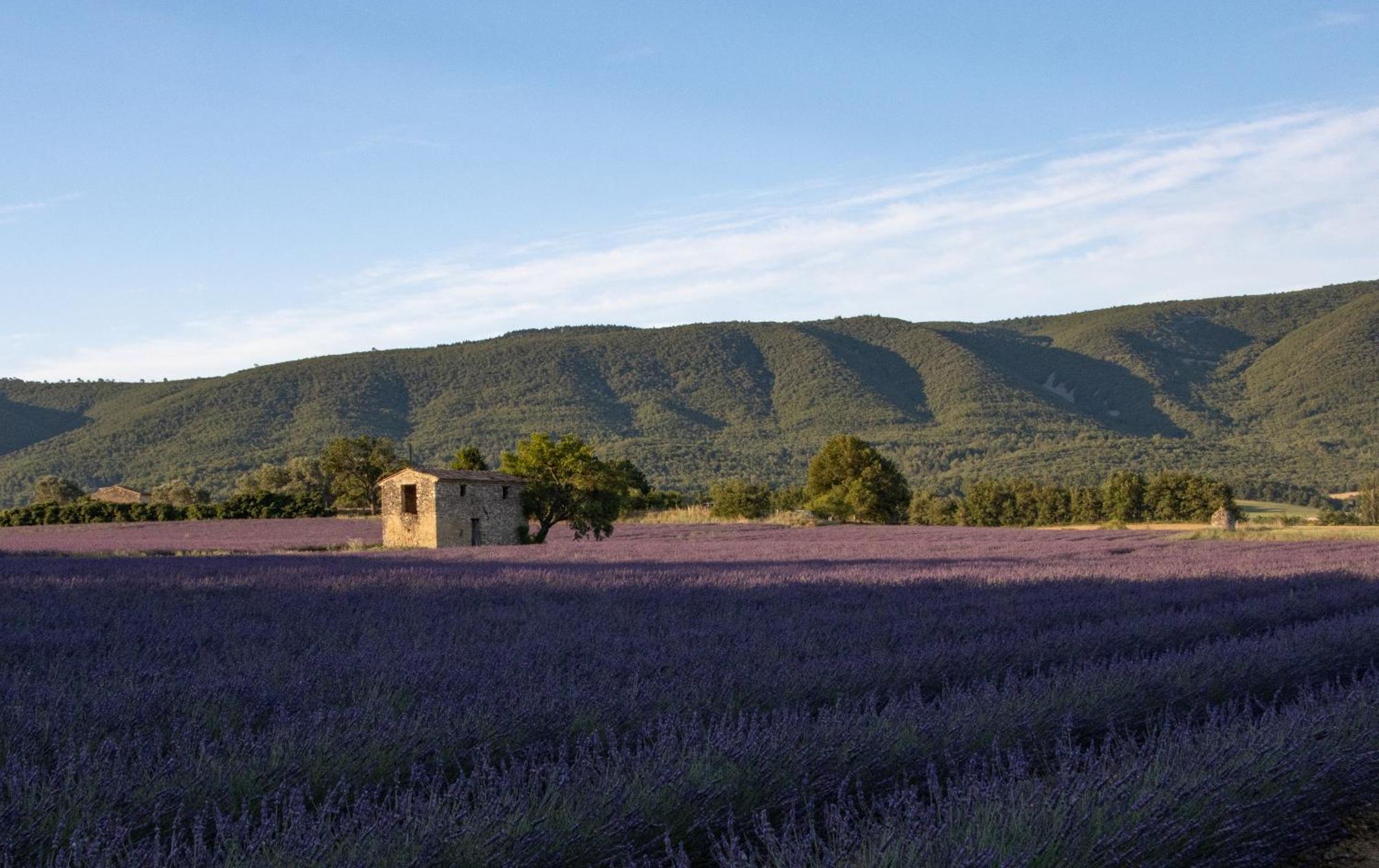 Studio Dans Le Luberon Céreste 外观 照片