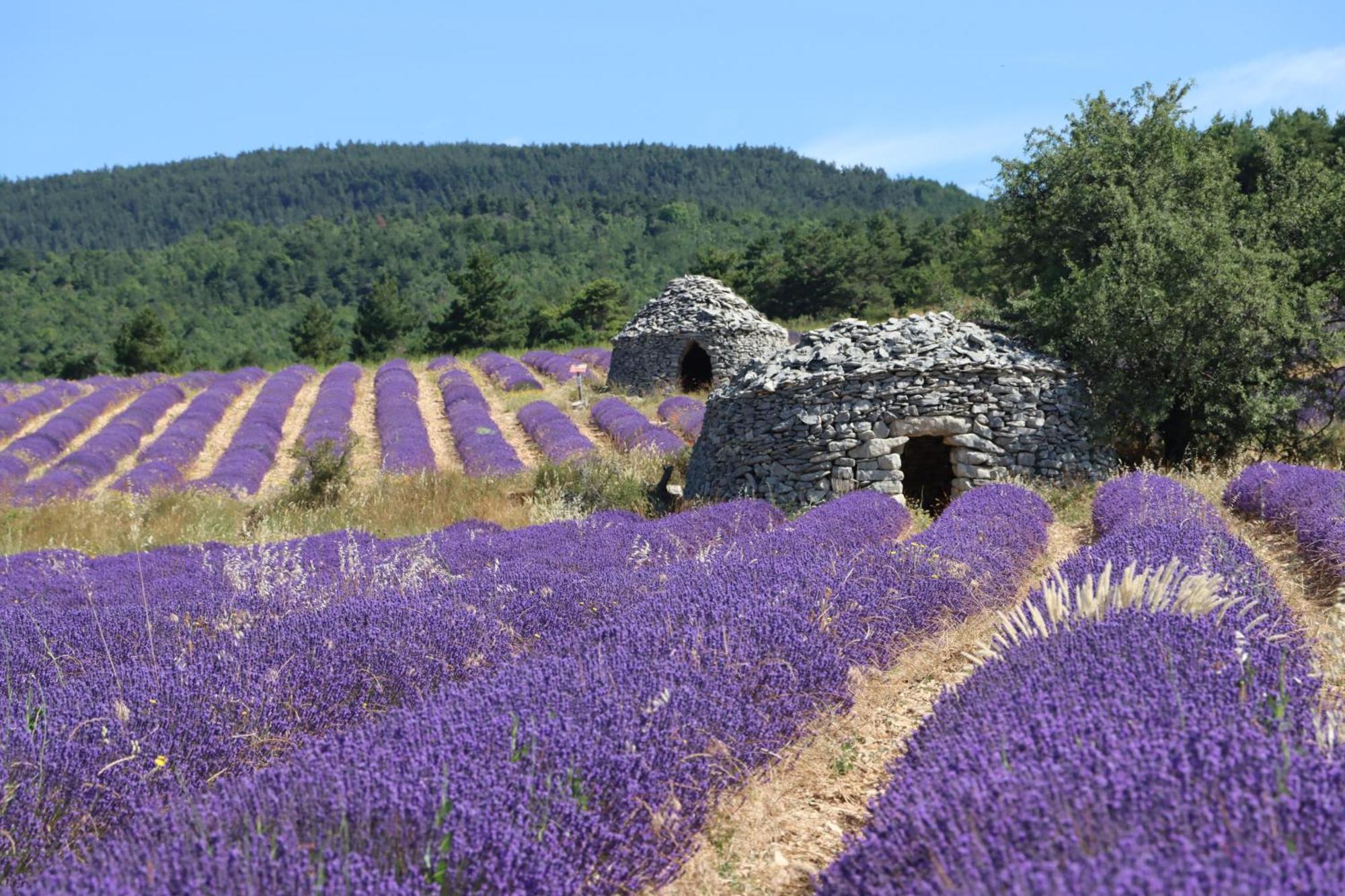 Studio Dans Le Luberon Céreste 外观 照片