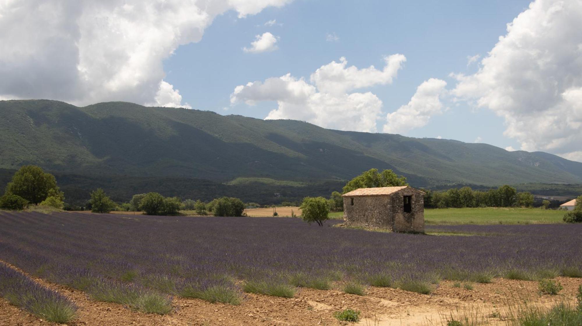 Studio Dans Le Luberon Céreste 外观 照片