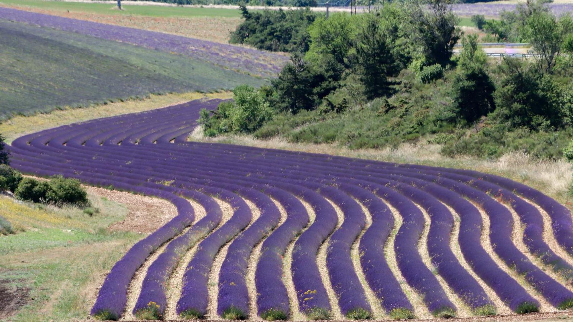 Studio Dans Le Luberon Céreste 外观 照片
